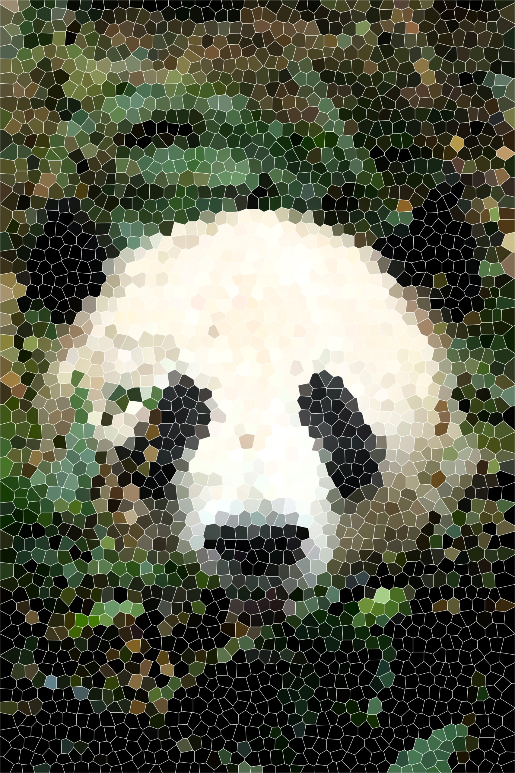 Charlybron - Panda
